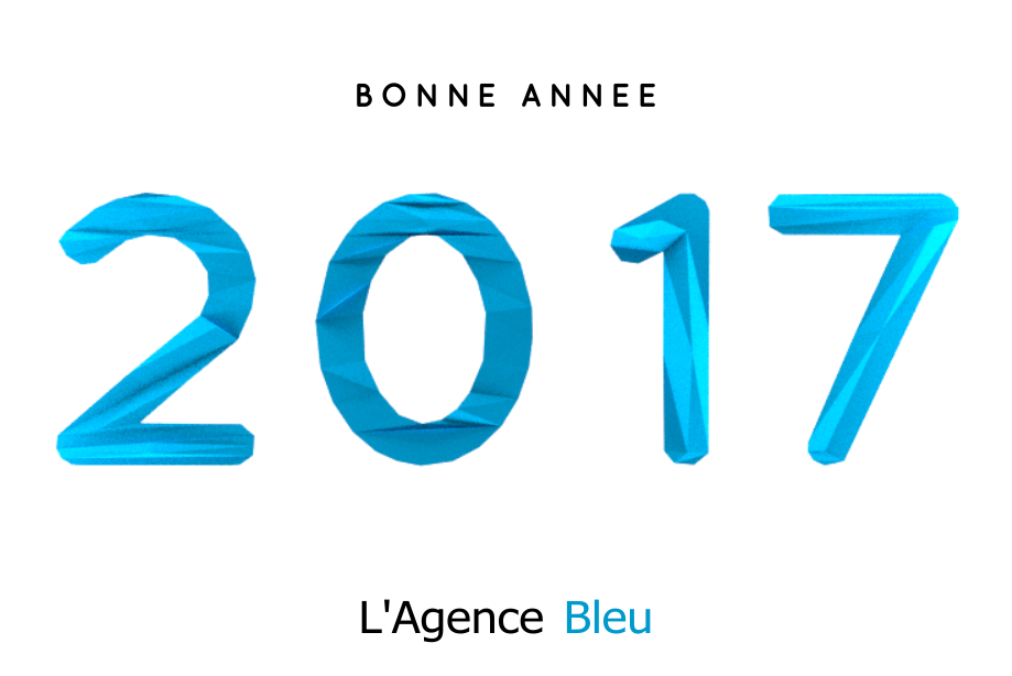 Voeux pour 2017